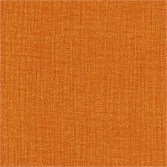 HAVEN APRICOT